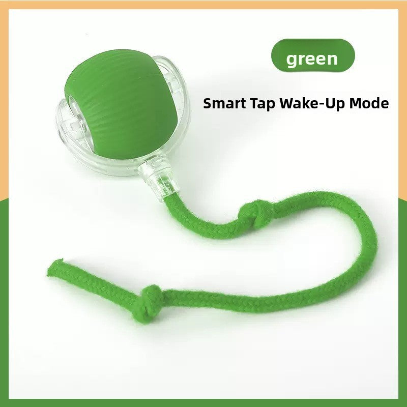 Interactive Electric Cat Toy with Automatic Sensor