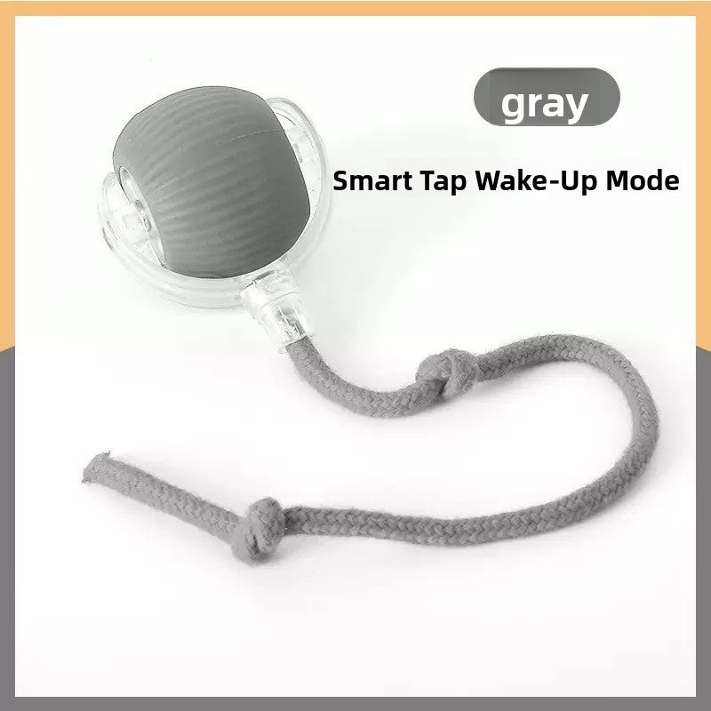 Interactive Electric Cat Toy with Automatic Sensor